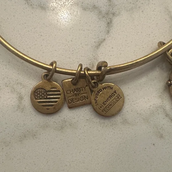 Alex and Ani Gold Nautical Wheel Charm Bangle Bracelet - Image 3