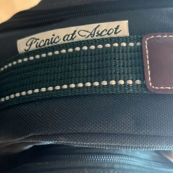 Picnic at Ascot Original Equipped 2 Person Green Picnic Backpack w/ Cooler - Image 2