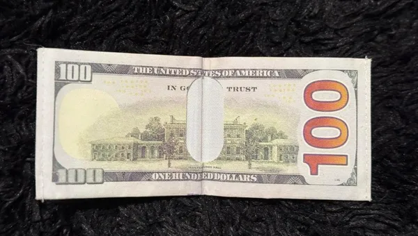 100 dollar bill themed wallet - Image 4