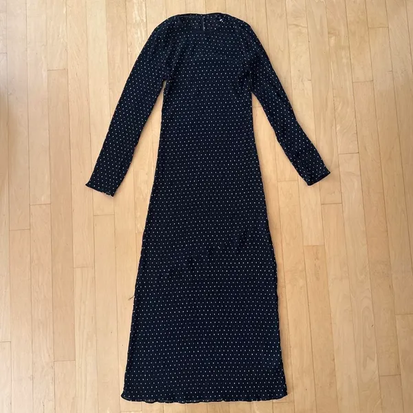 Princess Polly Lioness Haven noir black polka dot sheer maxi dress - Image 2