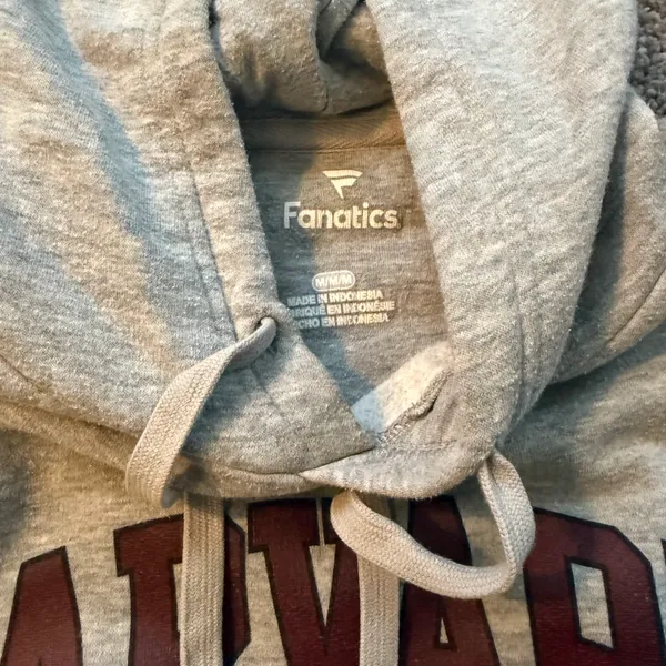 Harvard  Hoodie - Image 3