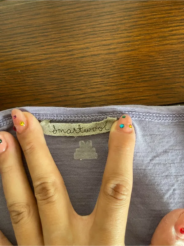 Smartwool Lavender Long Sleeve Crewneck Tee - Image 4