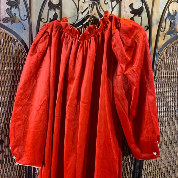 Vintage Velvet Ren-Faire Dress with Gold Trim Size L - Image 5