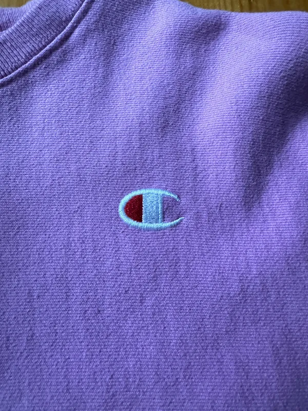 Champion Cropped Hoodie - Image 4