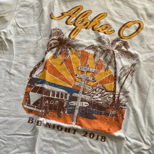 Comfort Colors Alpha O AOPi Sorority Bid Night T-Shirt Size Large Unisex EUC - Image 2