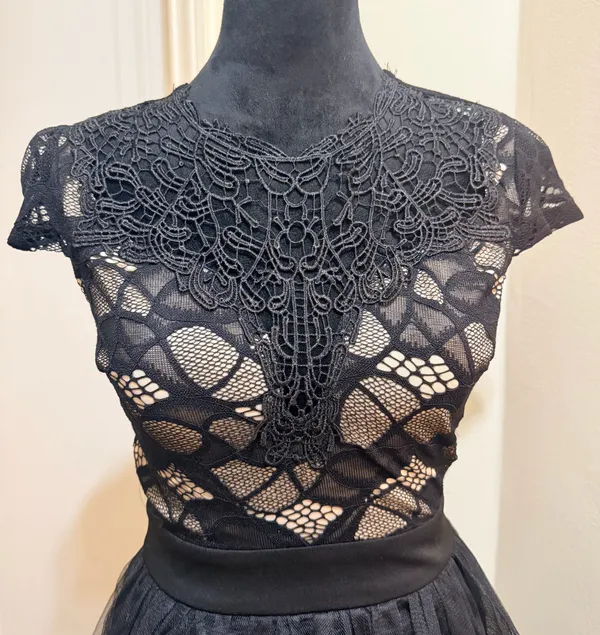 Privy Lace Illusion Tulle Fit & Flare Cocktail Mini Dress - Size S - NWT - Image 4