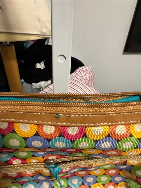 Lily Bloom Multi-Colored Polka Dot Crossbody Bag - Image 4