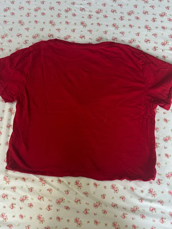 BRANDY MELVILLE Women's Red V‑Neck Crop Top - Image 2