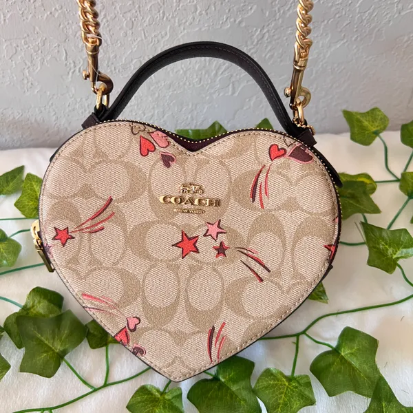 Coach Heart Crossbody In Signature Canvas With Heart And Star Print ck523 - Image 7