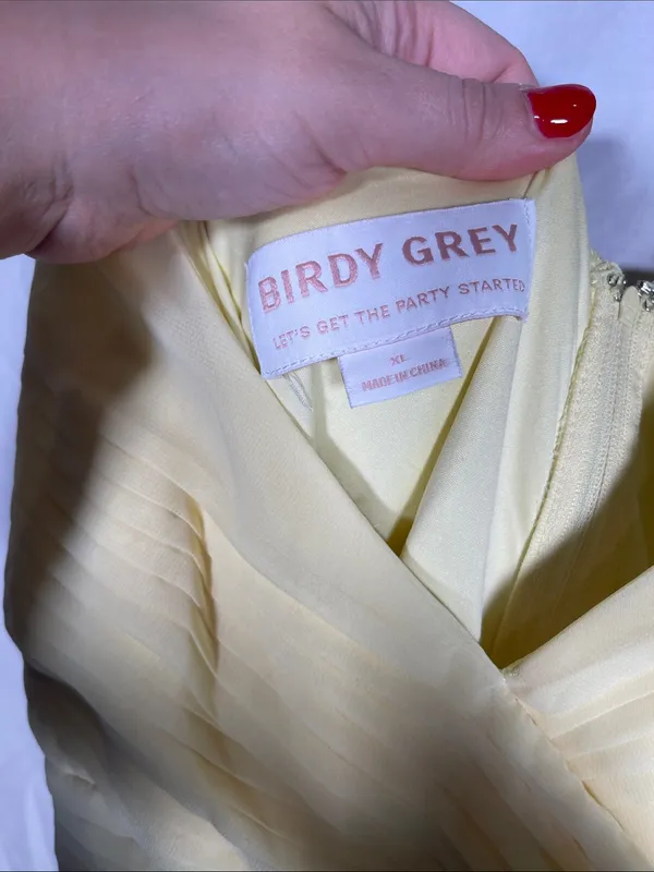 Birdy Grey Womens Chiffon Laurie Dress Butter Yellow Xl - Image 4