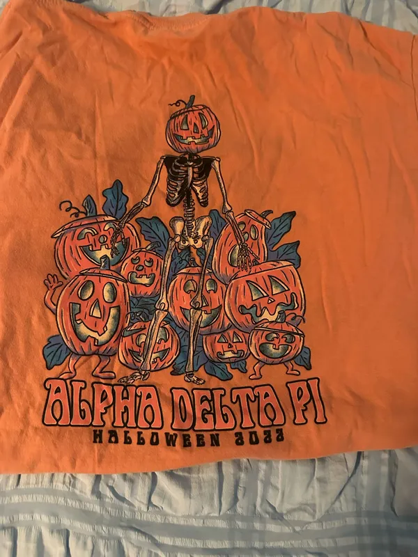 ADPi Comfort Colors Shirt - Image 2