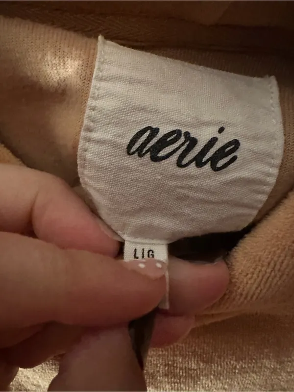 Aerie Velour Soft Oversized Pullover Hoodie Tan Lounge Sweatshirt Cozychic Large - Image 4