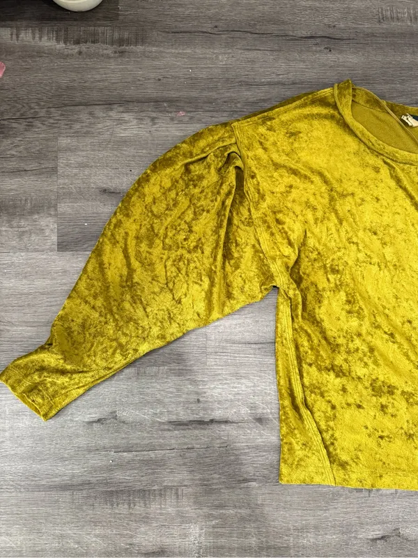 Free People We The Free XS Velvet Balloon Sleeve Top Y2K Whimsigoth Fairy Grunge - Image 7