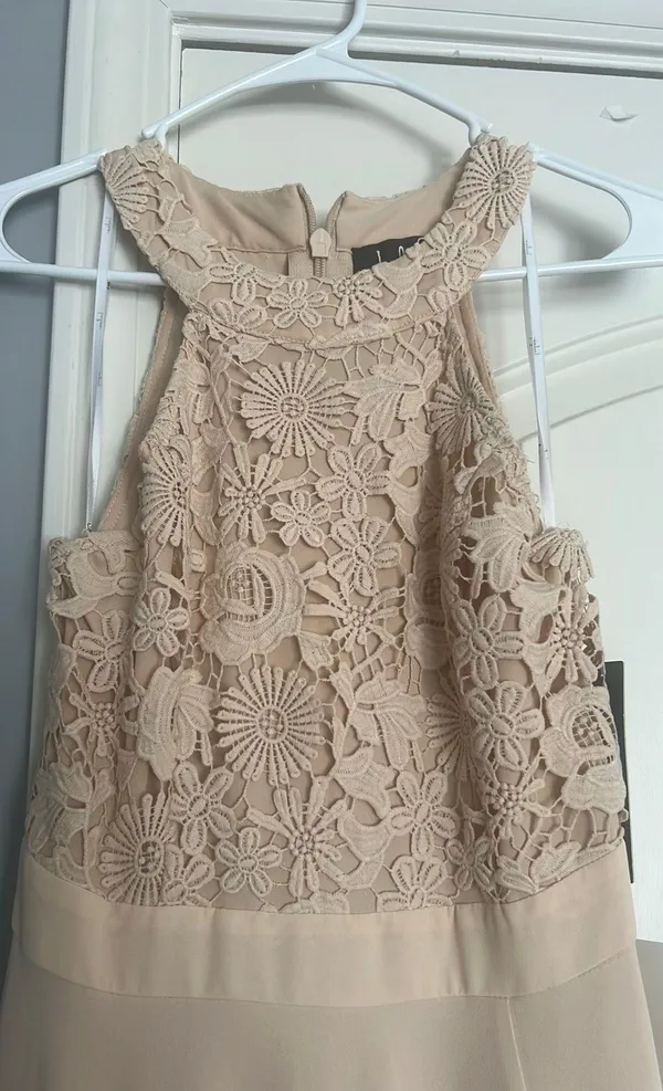 Lulu’s Gown - Image 3