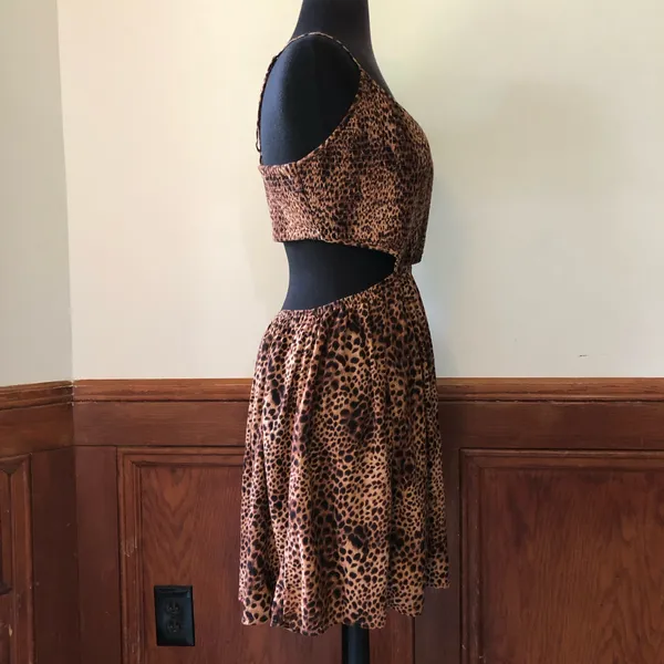 Aerie Leopard Print Smocked Cut-Out Mini Dress - Image 6
