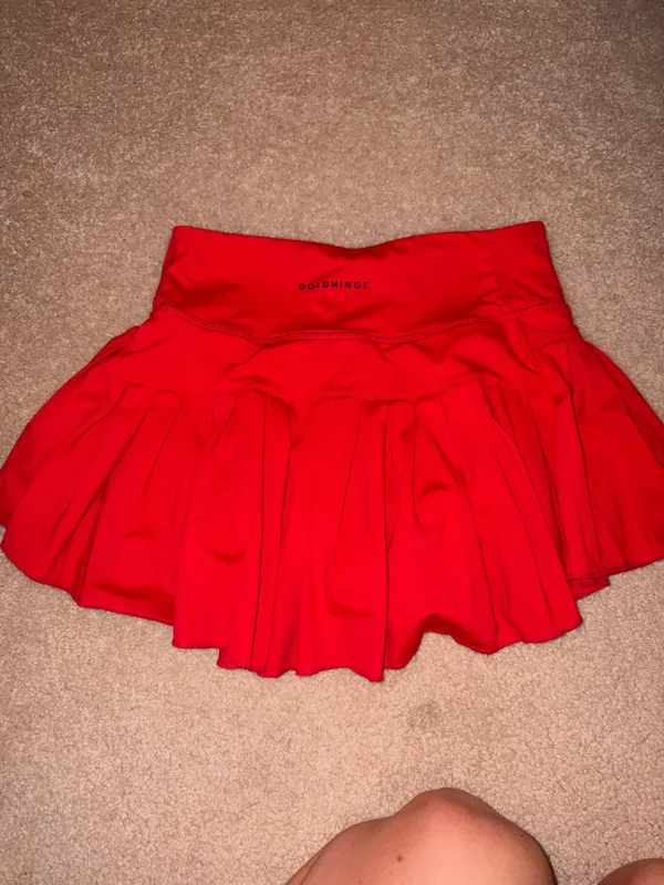 Gold Hinge Skirt - Image 2