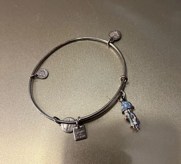 Alex and Ani Bangle Charm Bracelet - Image 4