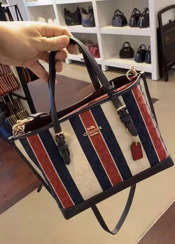 Coach mollie crossbody CB570 - Image 3