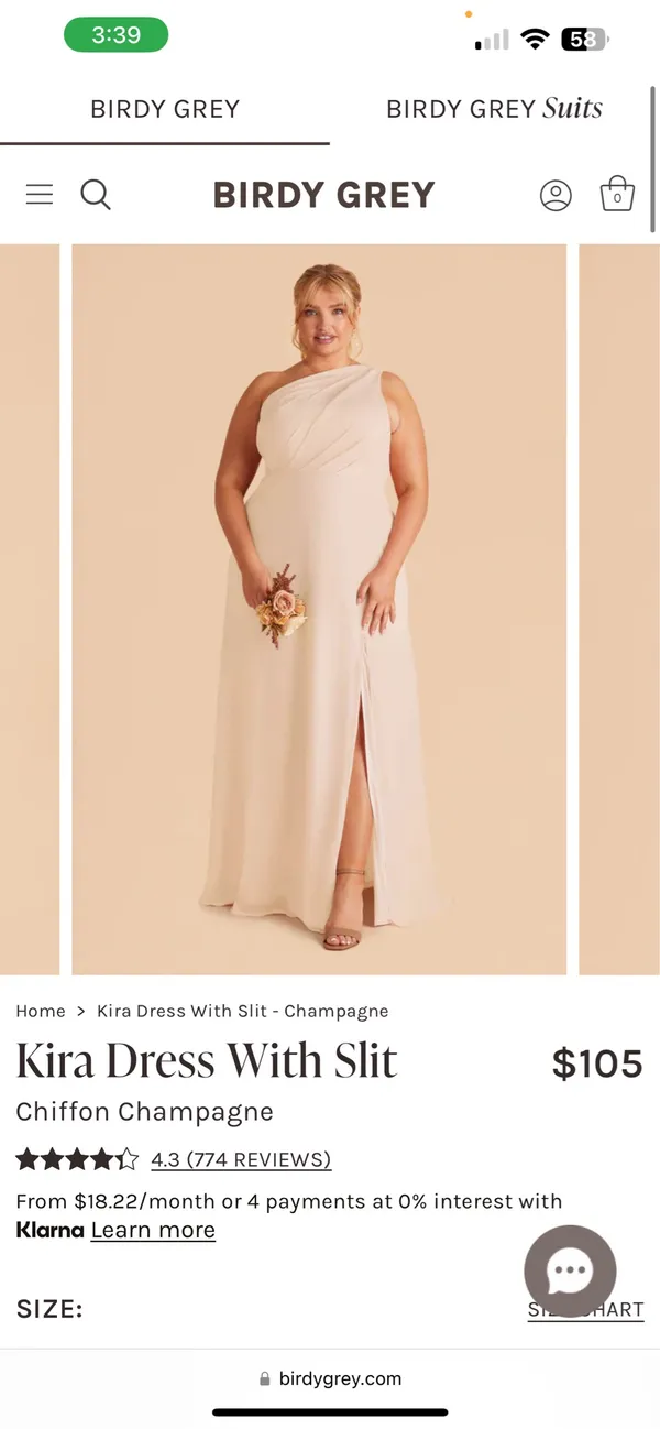 Birdy Grey Champagne Bridesmaid Dress One-Shoulder Shiny Chiffron Kira Women’s M - Image 3