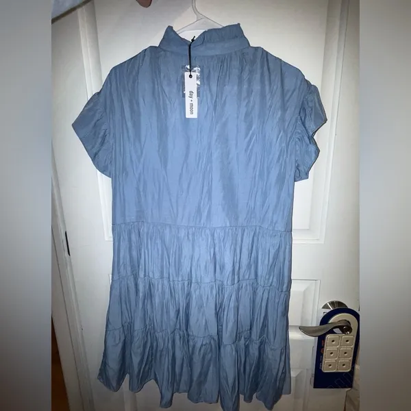 Day + Moon Blue Button-Down Dress - Image 3