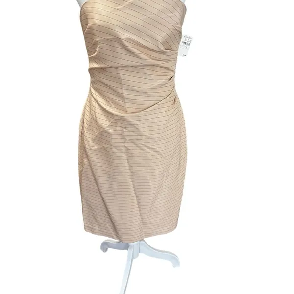 Kay Unger NWT Silk Strapless Ruched Blush Pinstripe Cocktail Dress Size 6 - Image 4