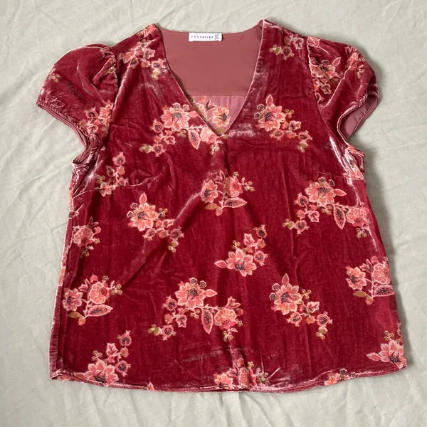 Velvet Burnout Salmon Rose Pink Floral V Neck Blouse Tshirt Top Tee Boho Fairy - Image 9