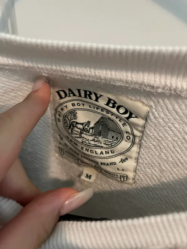 Dairy boy - Image 3
