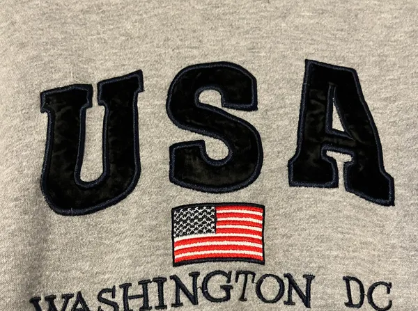 USA embroidered Hoodie Gray - Image 2