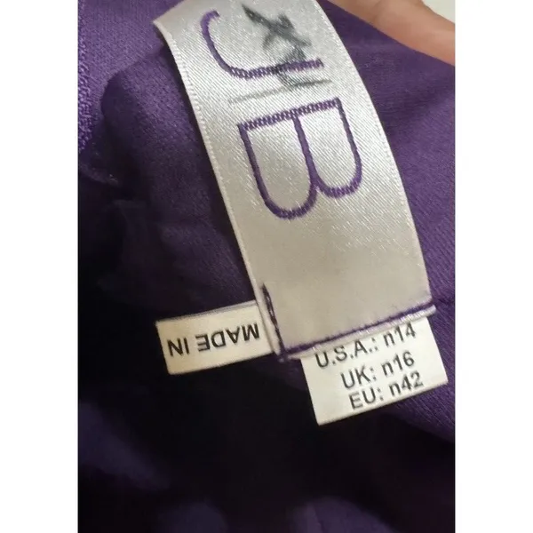 Gianni Bini Chic Purple Charlotte Chiffon Maxi Dress Sz14 Wedding Party‎ Boho Sweet Cute - Image 4
