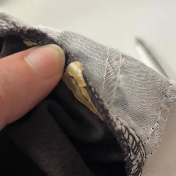 Karl Lagerfeld Corduroy Pants Sz 10 Chocolate Quiet Luxury Preppy Fall Heritage - Image 11