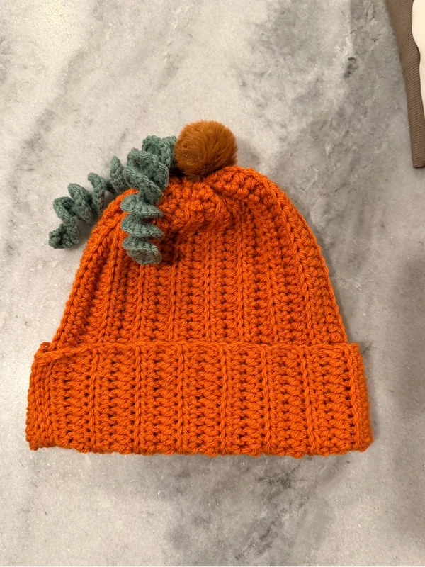 Handmade Crochet Pumpkin Beanie Orange Ribbed Hat Green Vine Pom Pom Fall - Image 6