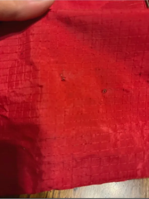 Baggallini Red Tote - Image 5