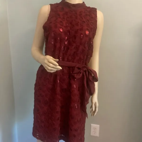 Nwt Anthropology Wine Boardx 3 -D Floral Dress Sz‎ 10 - Image 6