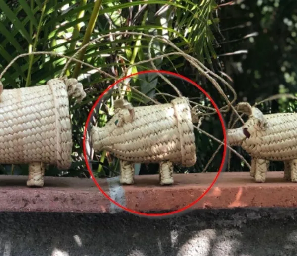 Mexican piglet bag - Image 6