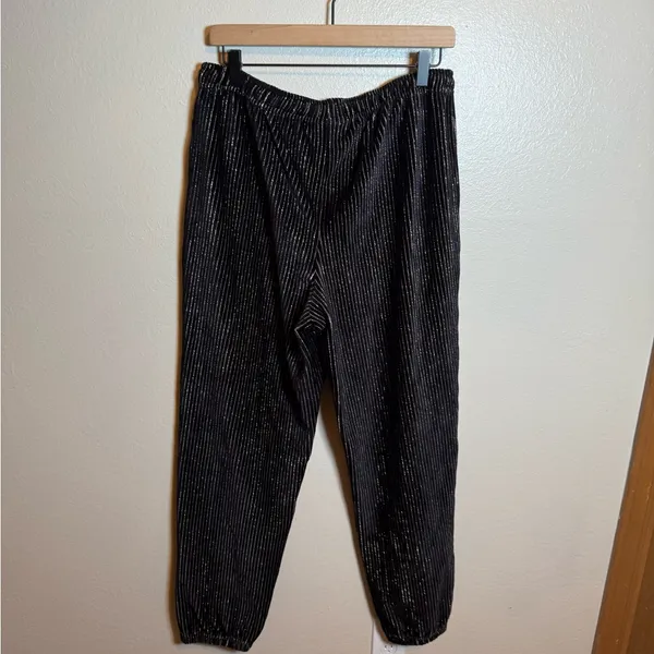 Disney Spirit Jersey‎ Metallic Pin Stripe 50th Anniversary Hoodie & Sweatpants - Image 9
