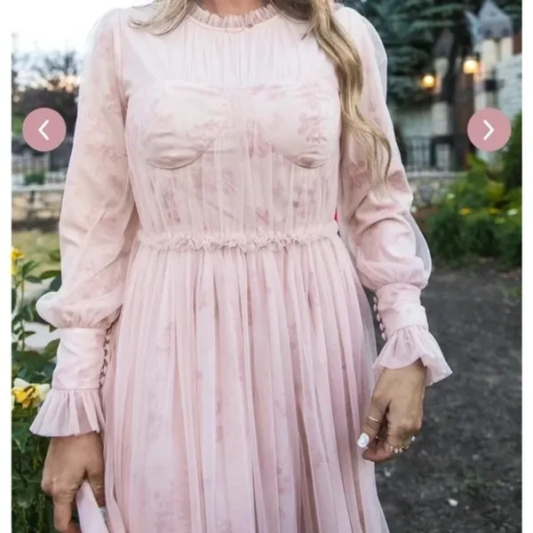 Ivy City Co NWT‎ Last Songbird Pink Fairy Whimsical Modest Midi Dress Medium - Image 4