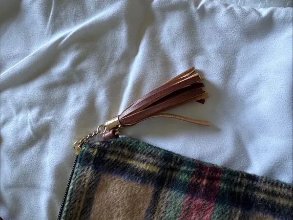 Plaid Wool Crossbody or Wristlet Bag with Brown Leather Tassel Zipper Pull - Image 5