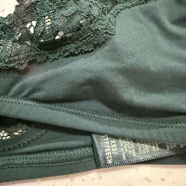 NWOT Skims Lace Fits Everybody Spruce Bralette XXS - Image 3