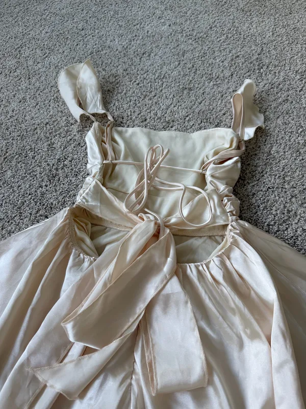 Lucy in the Sky Fit and Flare Dress in Champagne - Image 6