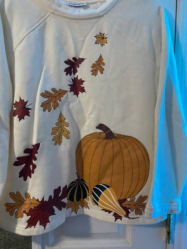Fall Sweater Size L - Image 3