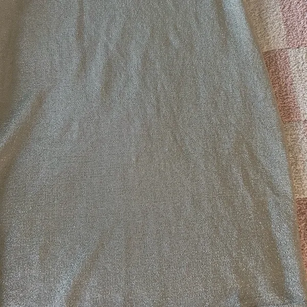 AKA Silver Metallic Top - Image 4