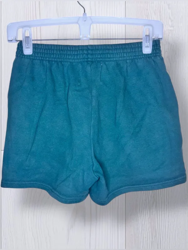 PACSUN x LAND ROVER Vintage Style Teal Graphic Sweat Shorts - Image 4