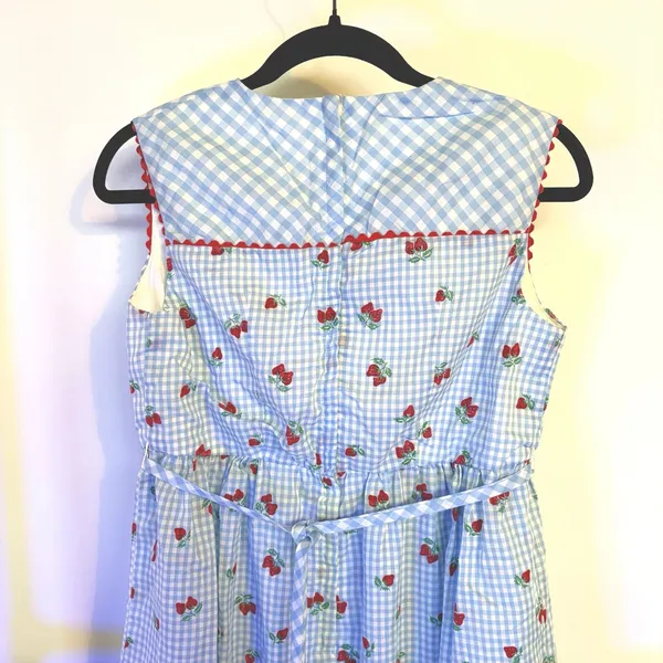50s Baby Blue Gingham Dress Coquette Strawberry Cottagecore Picnic Retro Femme - Image 6