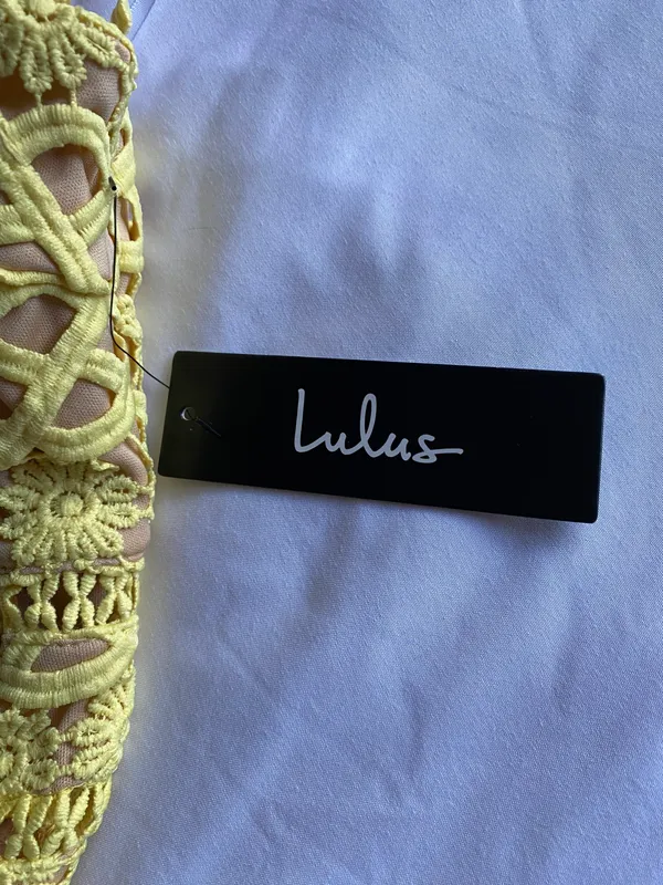 Lulus Dress - Image 5