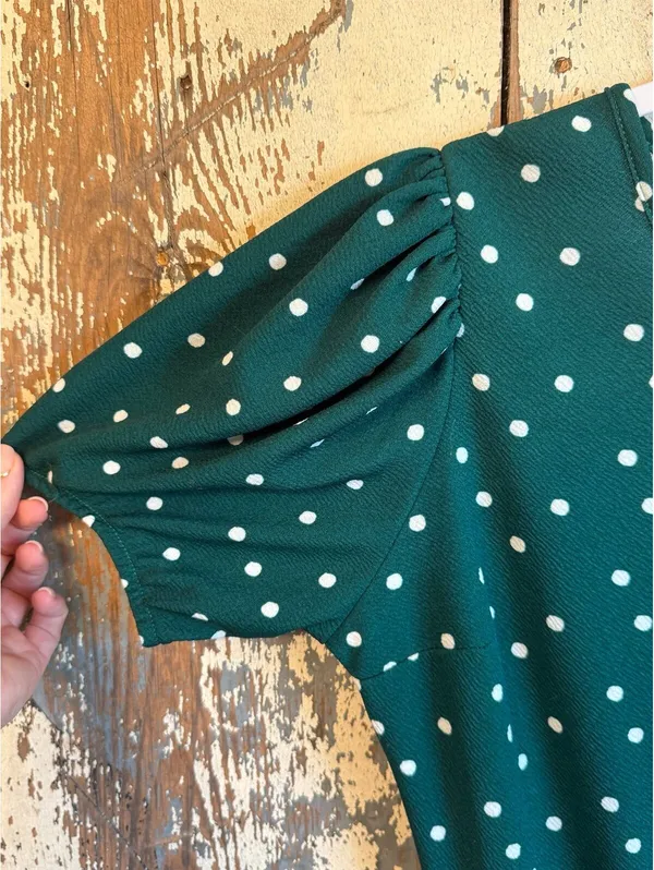Lark + Grey Green White Polka Dot Pleated Dress size Medium - Image 3