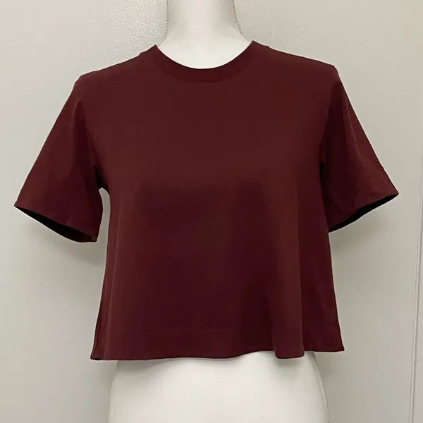 Wilfred Aritzia Women's Burgundy Cropped Top size Small - Image 2