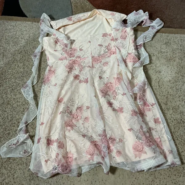 Cider Floral Embroidered Mesh Ruffle Mini Dress Womens L Beige Pink Fairycore - Image 4
