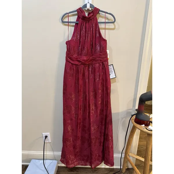 SLNY Fashion Women's Burnout Chiffon Sleeveless Gown Size 6 Fushia - Image 3