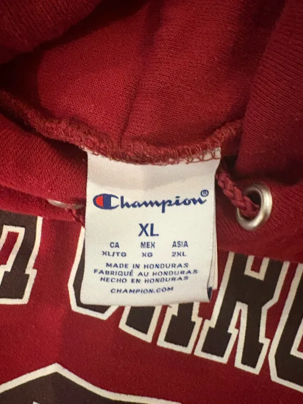 University of South Carolina Champion Hoodie - Image 3