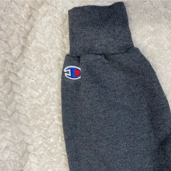 Champion Gray Hampton University Pullover Sweatshirt‎ Unisex Size XS - Image 2